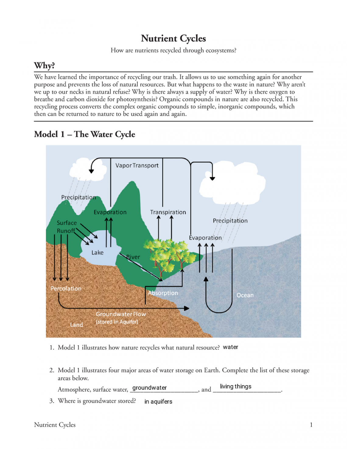 Kami Export - Cali B -  Nutrient Cycles-S - Nutrient Cycles