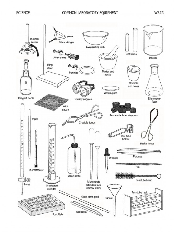 Lab Equipment Worksheet  PDF  Laboratory Equipment  Glasses