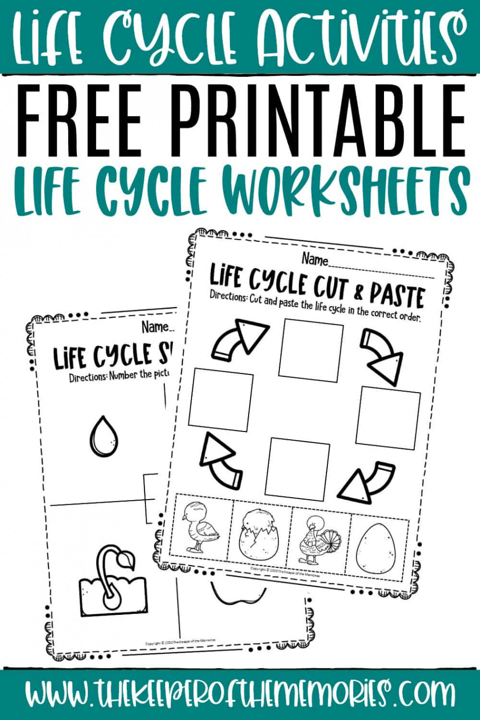 Life Cycle Worksheets - The Keeper of the Memories