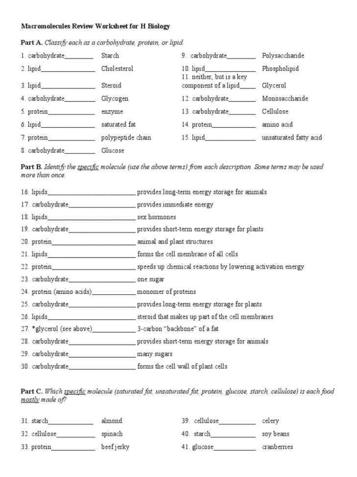 Marocmolecule Review Worksheet - Answer Key  PDF  Carbohydrates