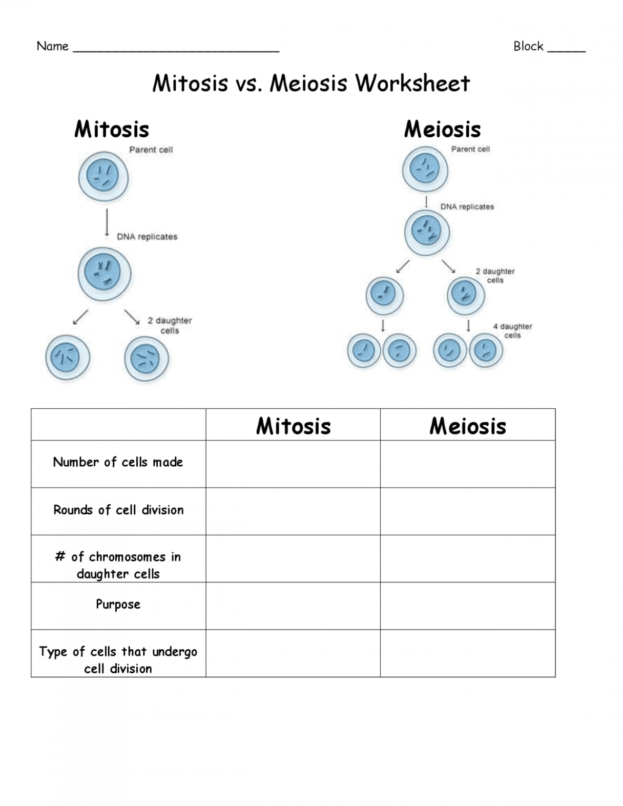 Mitosis vs. Meiosis Chart