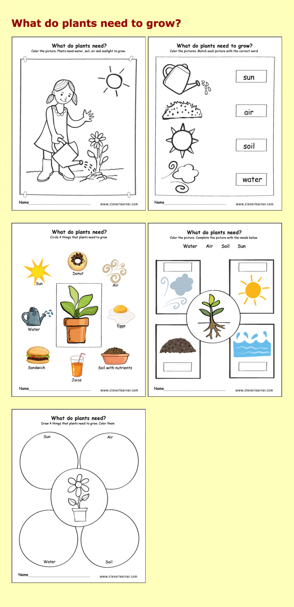 Needs of plants kindergarten worksheets #preschool #parenting