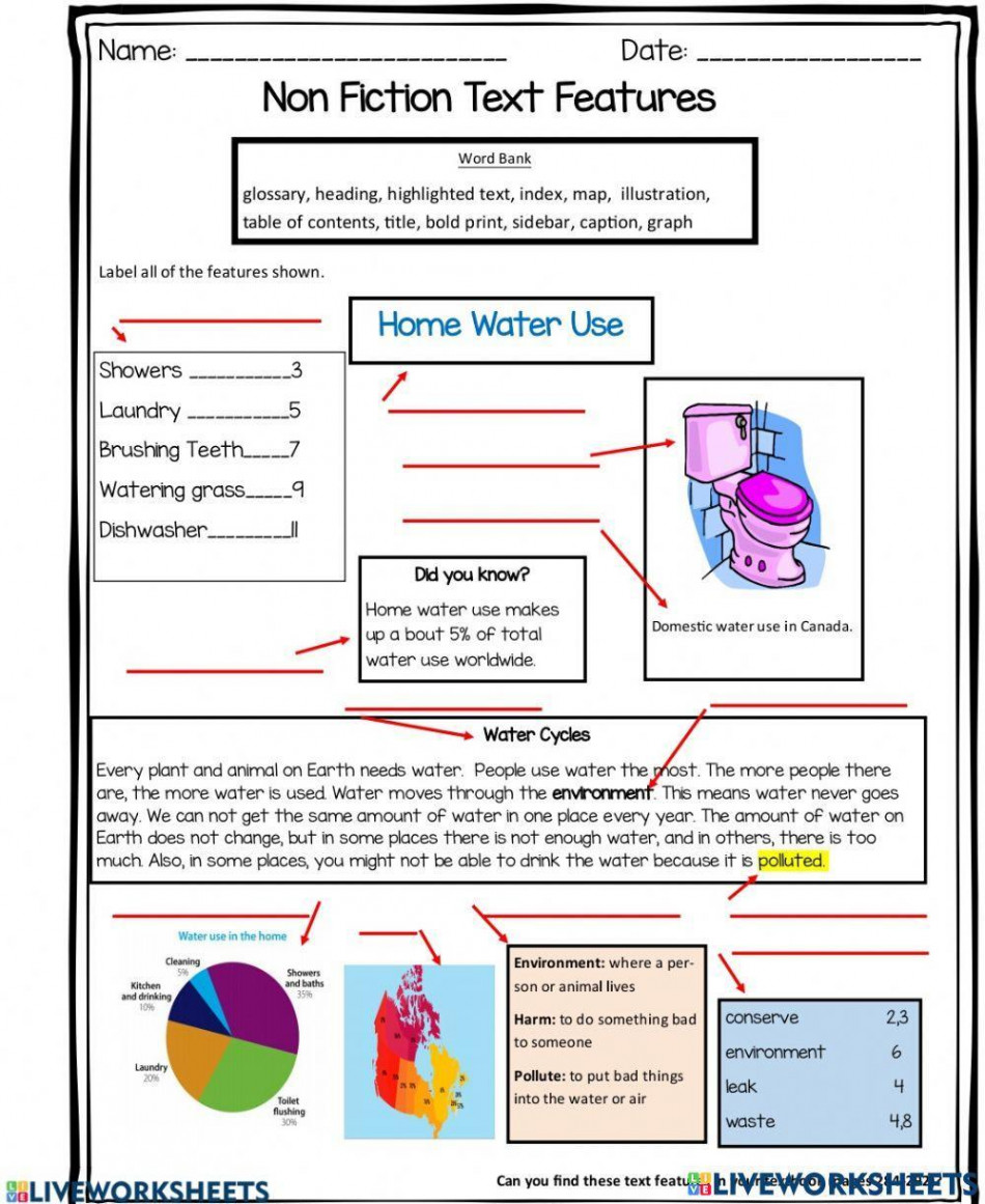 Non-Fiction Text Features worksheet  Live Worksheets