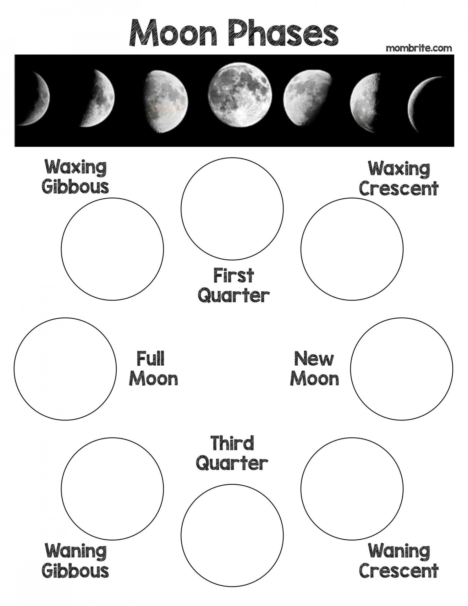 Oreo Cookie Moon Phases Activity [Free Worksheet]  Mombrite