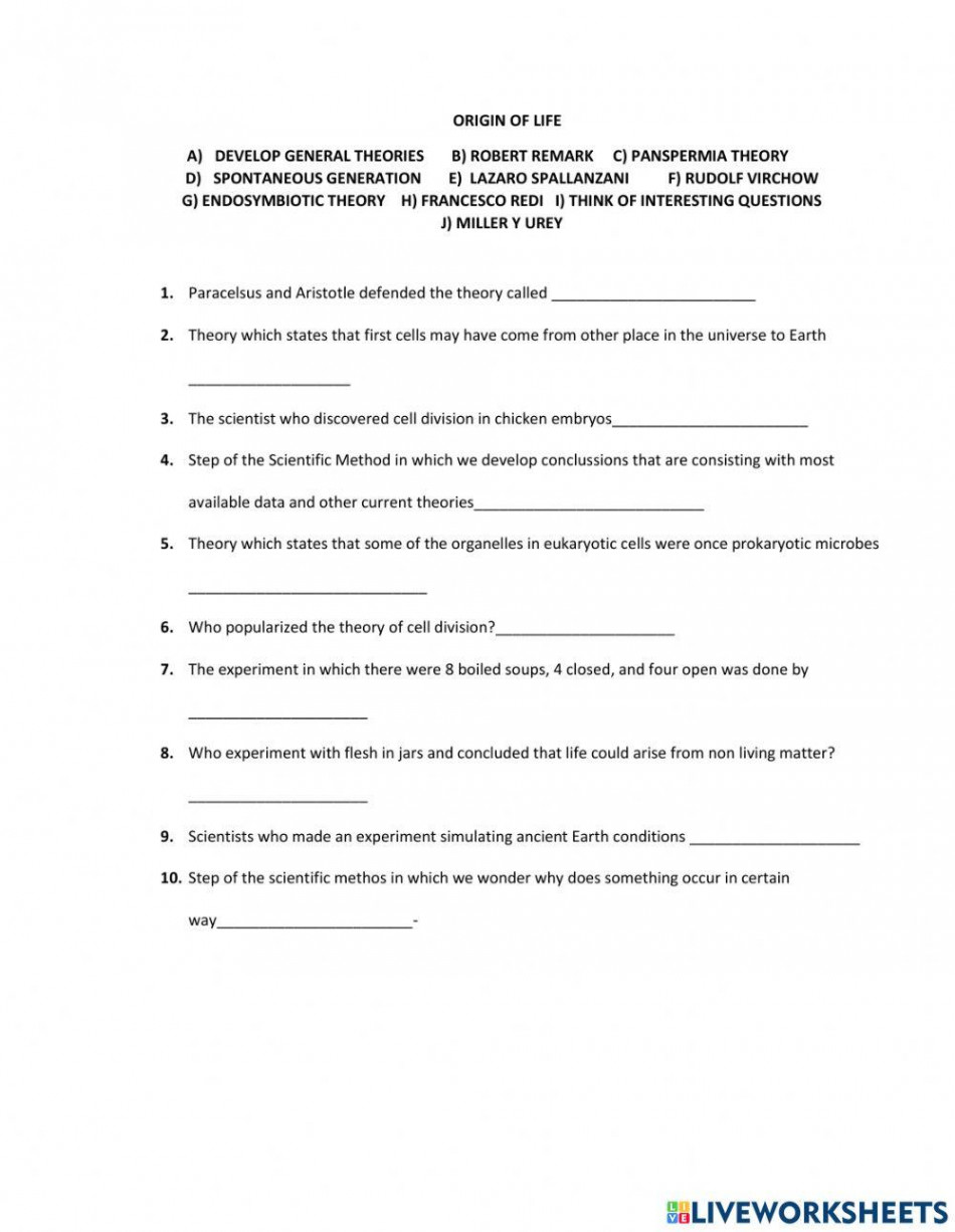 Origin of life worksheet  Live Worksheets