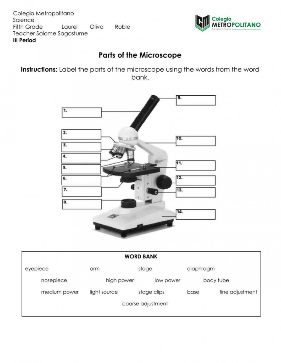 Parts of the Microscope worksheet  Live Worksheets