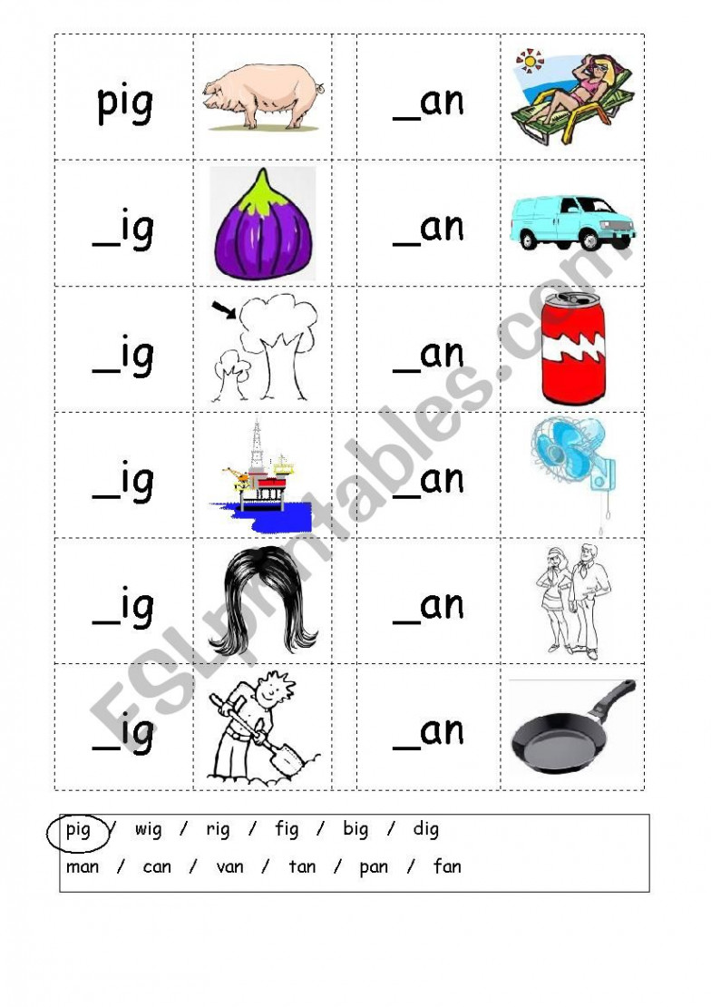 Phonics -  letter words (CVC) - Writing -IG / -AN - ESL worksheet