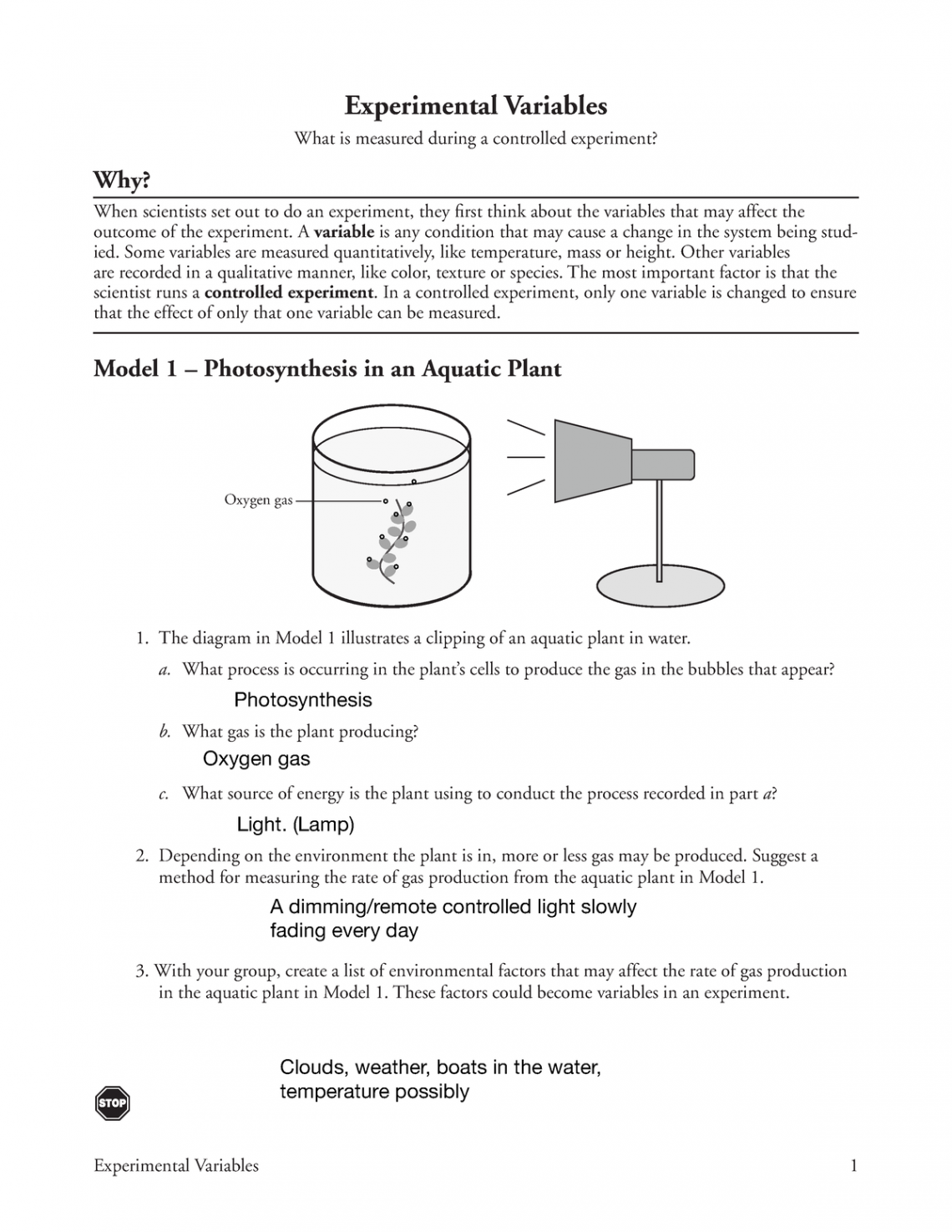 Pogil Experimental Variables - Experimental Variables