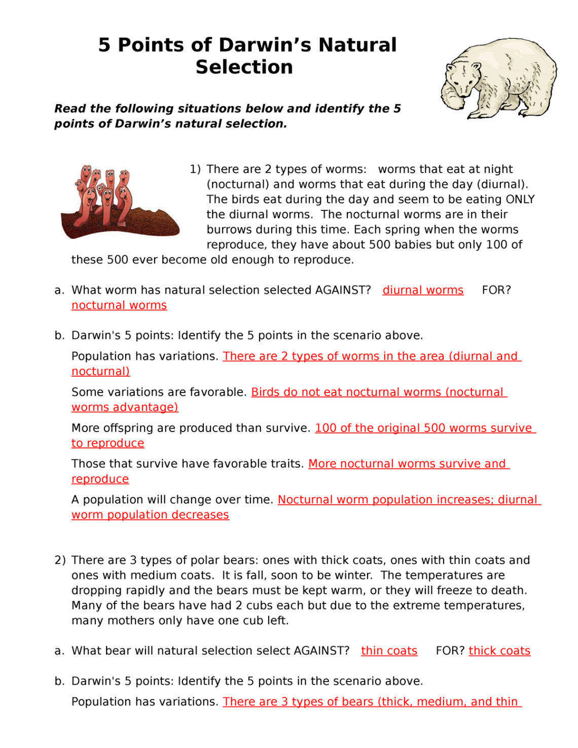 Points of Natural Selection - Answer Key  -  Points of