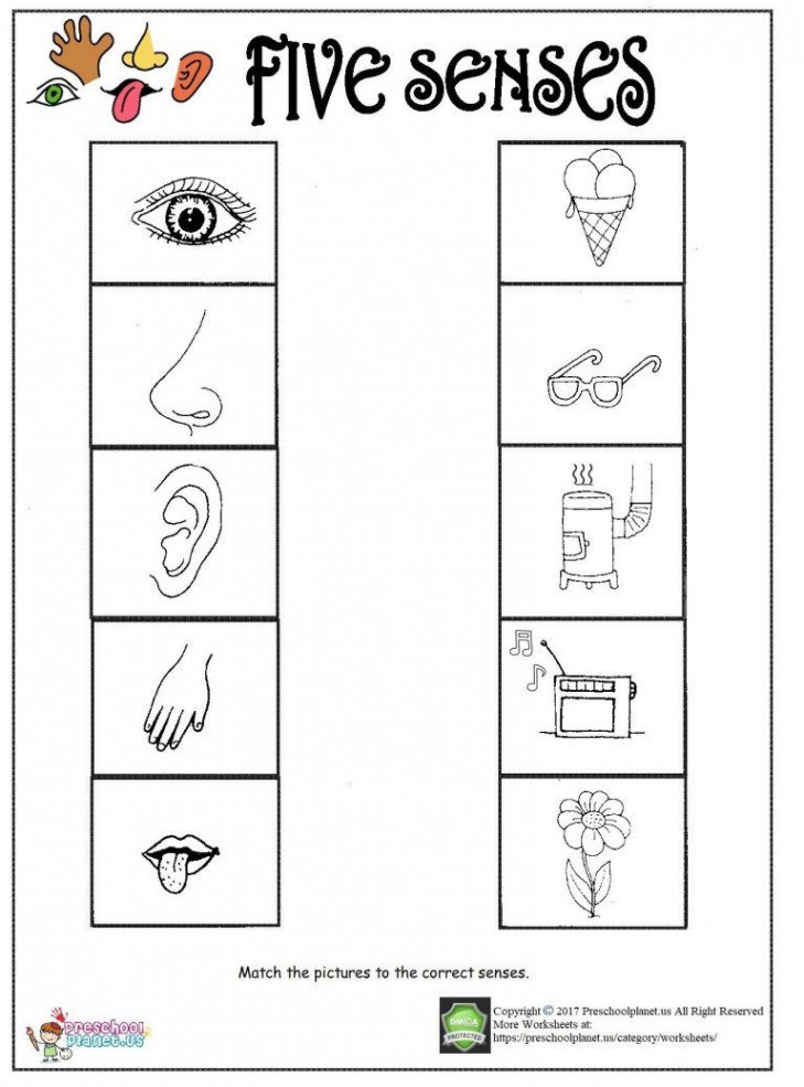 Printable five senses worksheet  Five senses worksheet,  senses