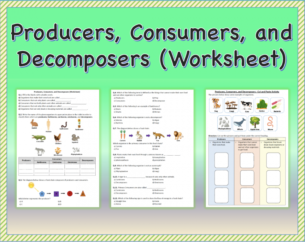 Producers, Consumers, and Decomposers - Worksheet  Printable