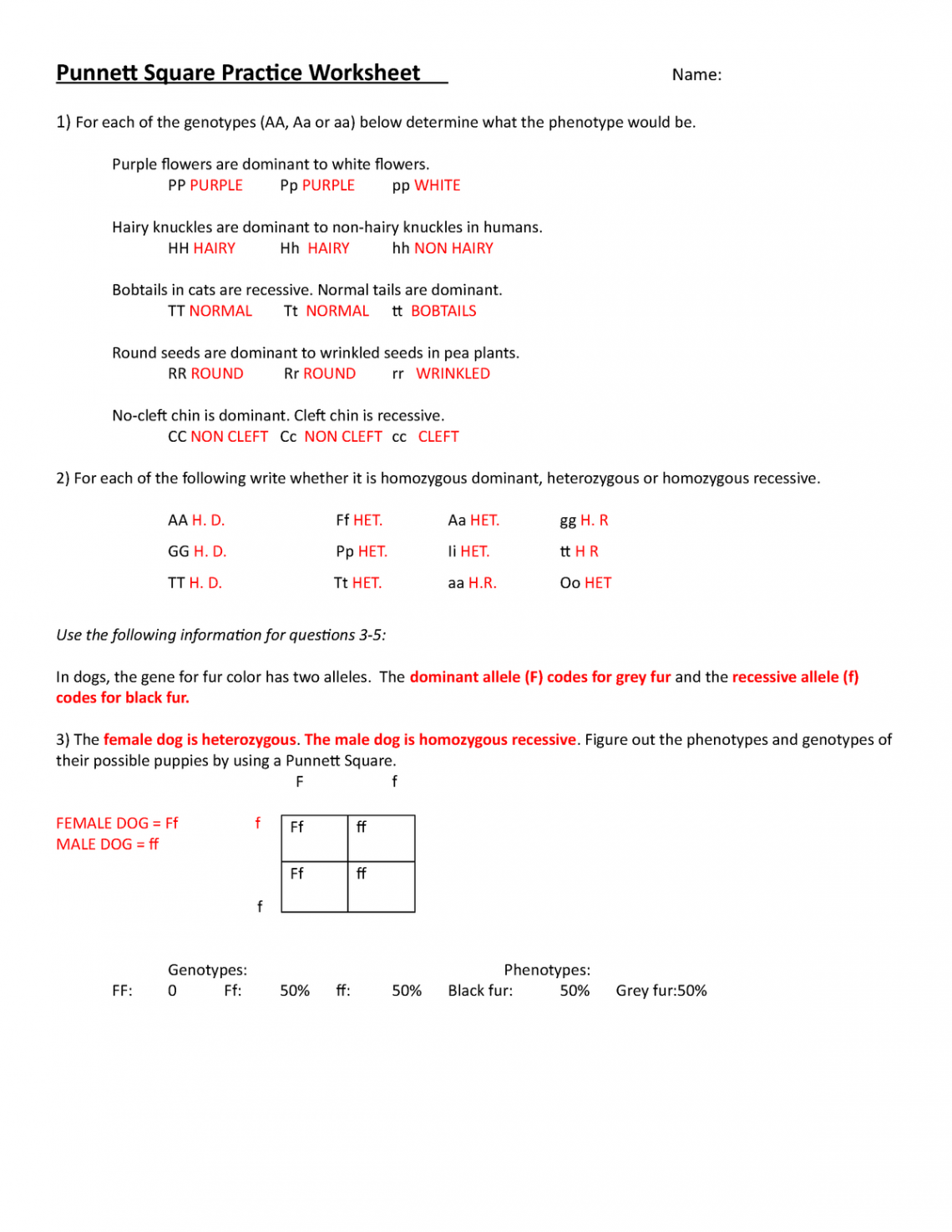 Punnett Square Practice Worksheet - Purple flowers are dominant to