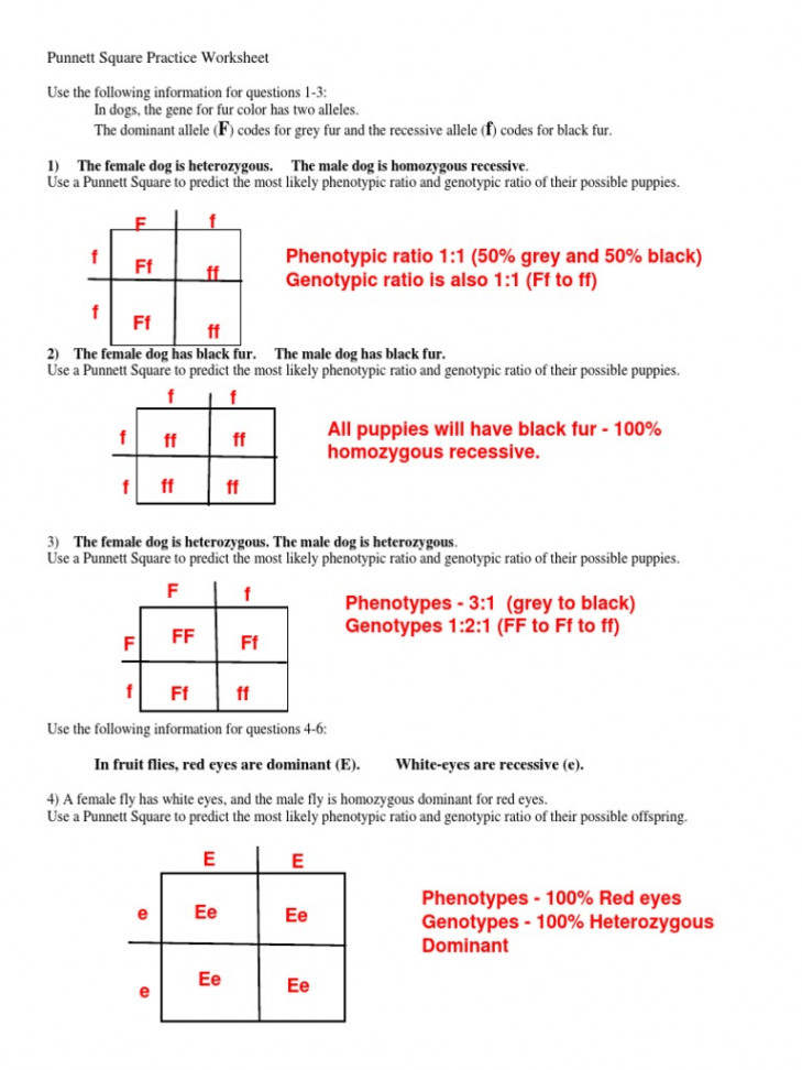 Punnett Square Practice Worksheet: ) The Female Dog Is