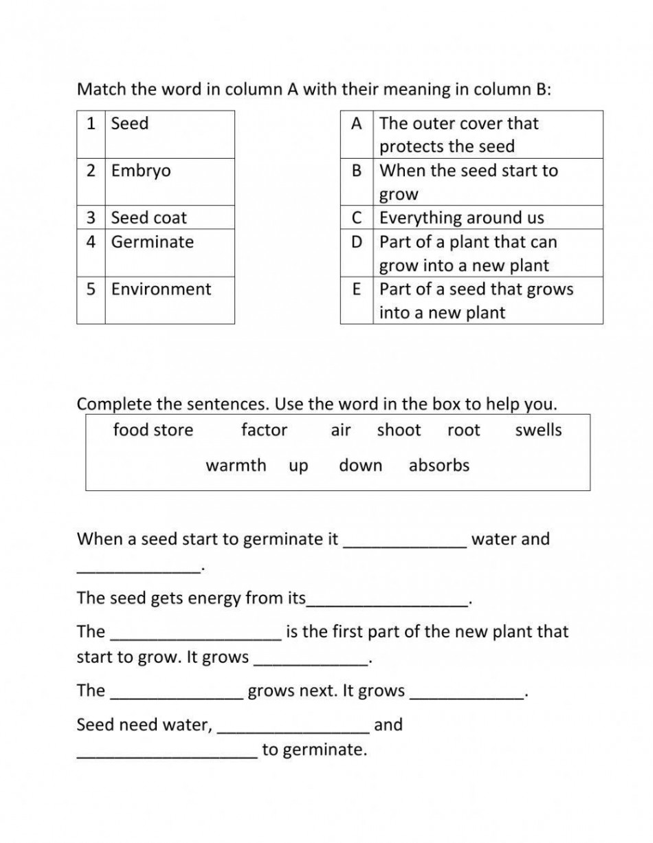 Science review grade  worksheet  Live Worksheets