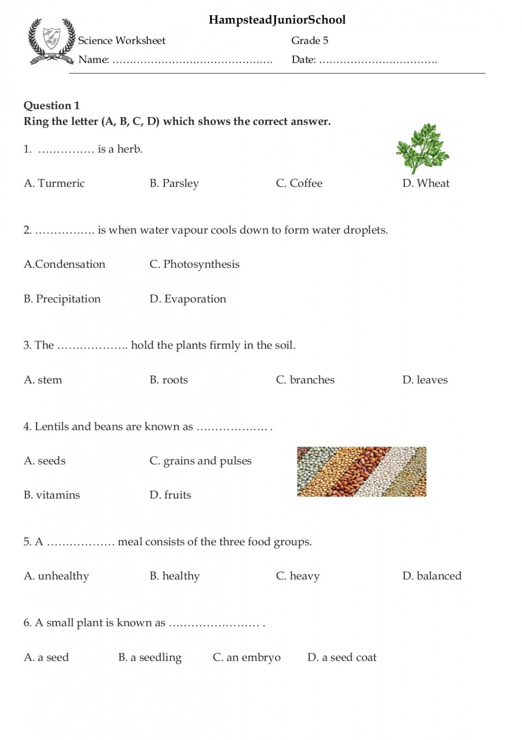 Science Worksheet  Grade