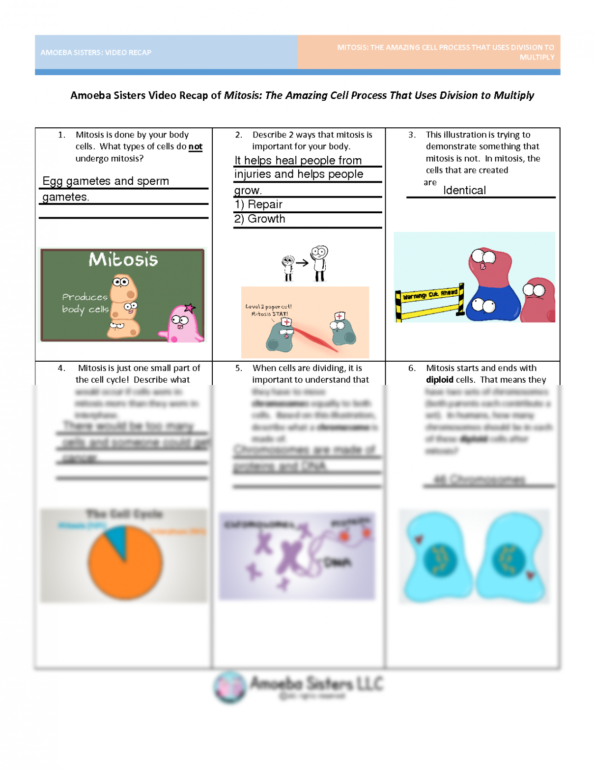 SOLUTION: Amoeba sister video recap of mitosis v   pdf - Studypool