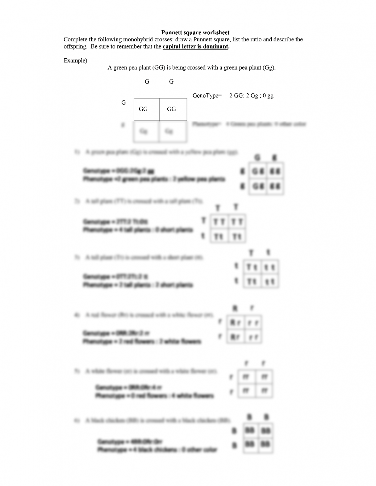 SOLUTION: Punnett Square Worksheet  - Studypool