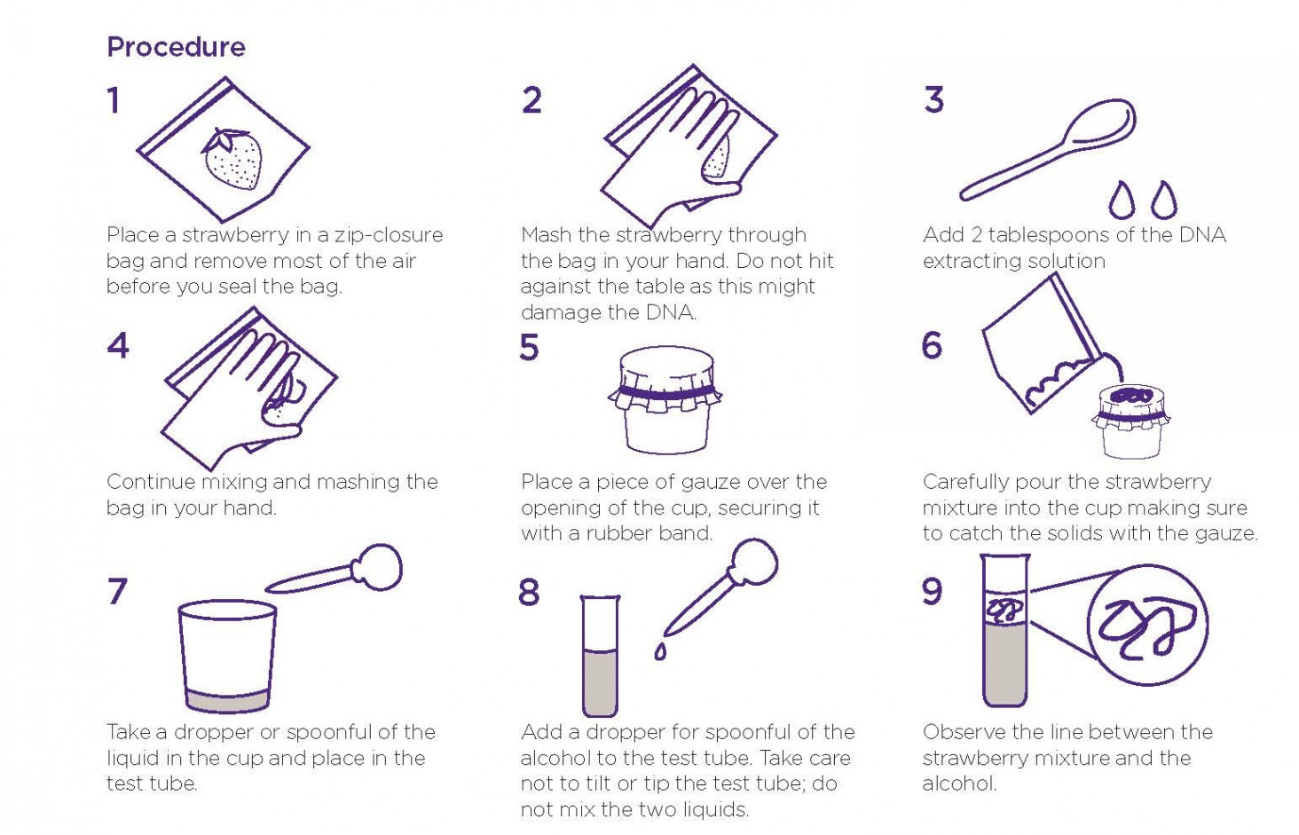 Strawberry DNA extraction activity - Institute for Molecular