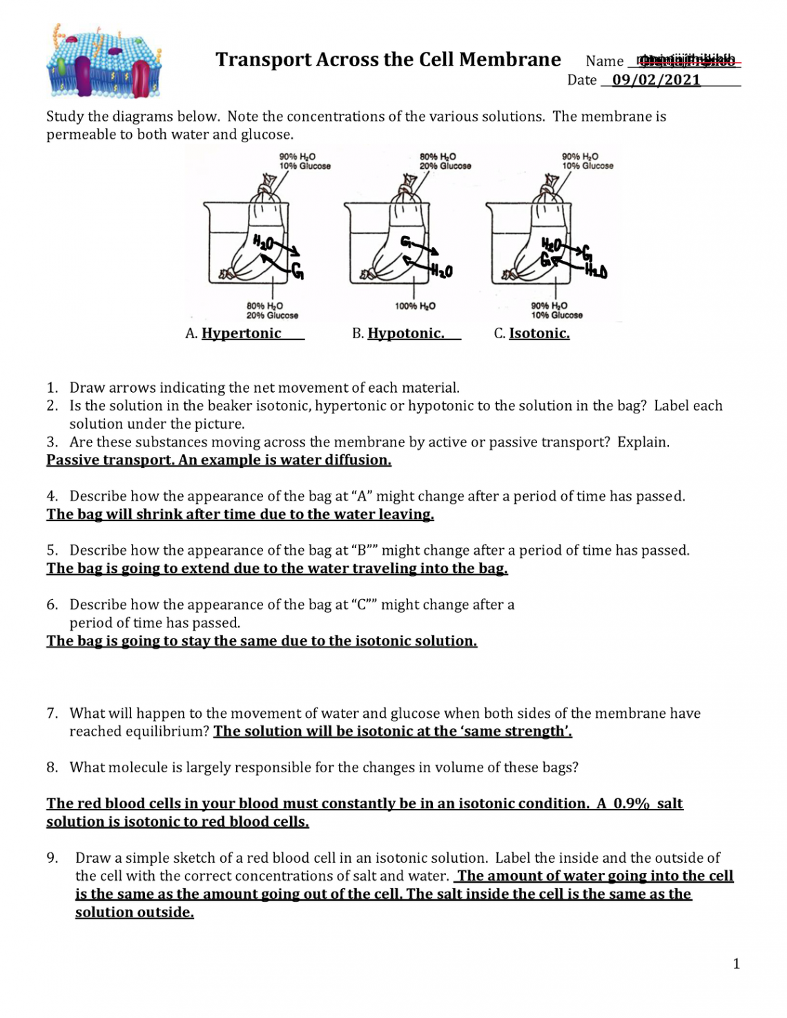 Transport Across the Cell Membrane Worksheet student copy (