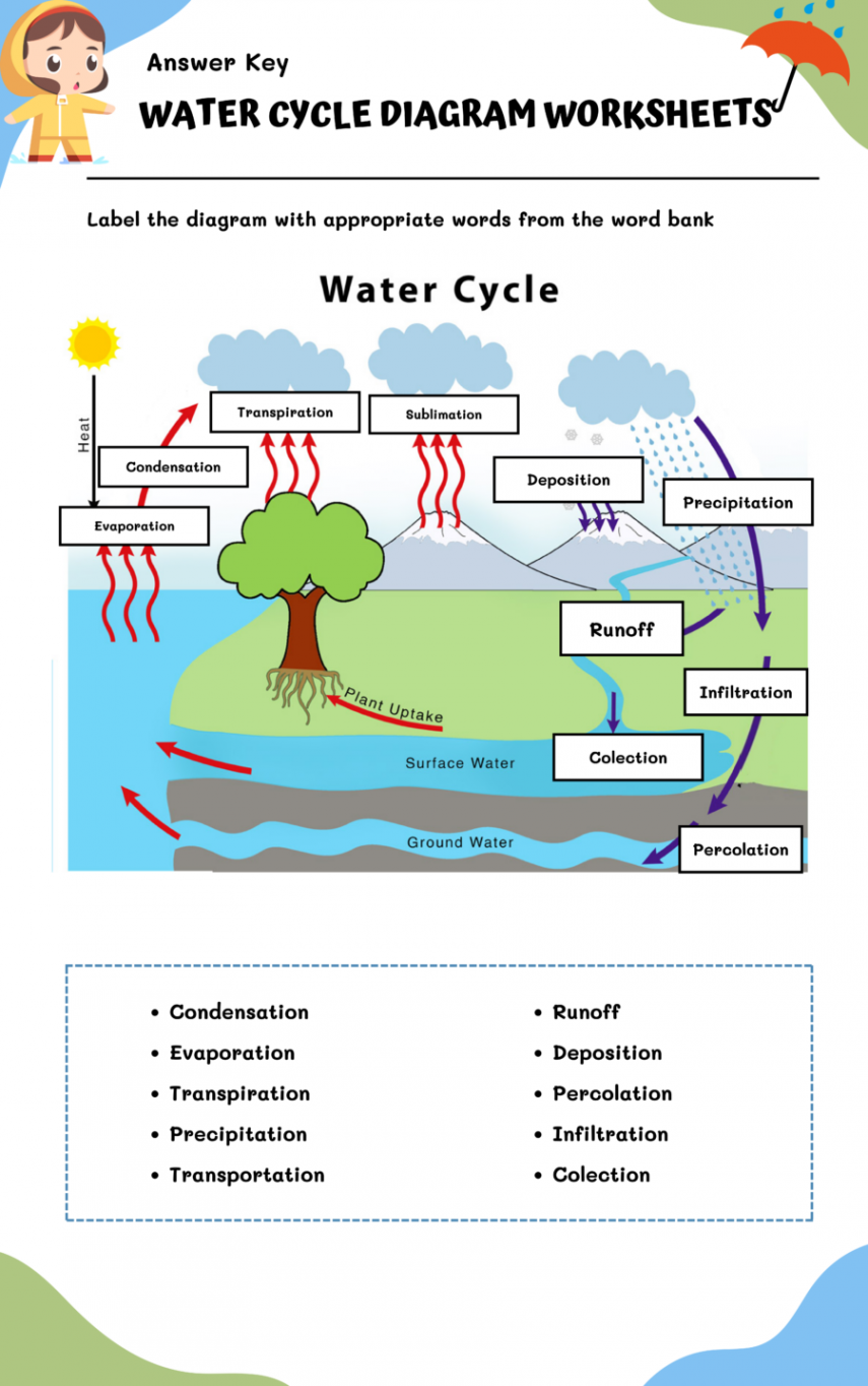 Water Cycle Diagram Worksheets  WorksheetsGO