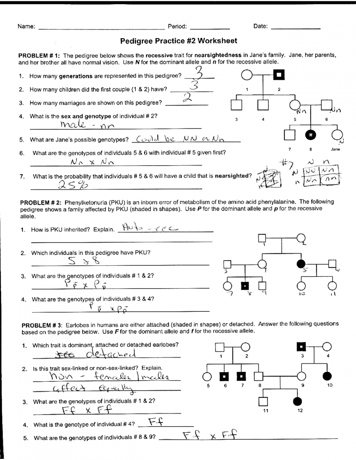 Worksheet Pedigree Practice with Answer Key  Exercícios Genética