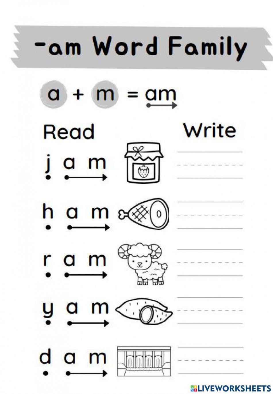 am word family worksheet  Live Worksheets