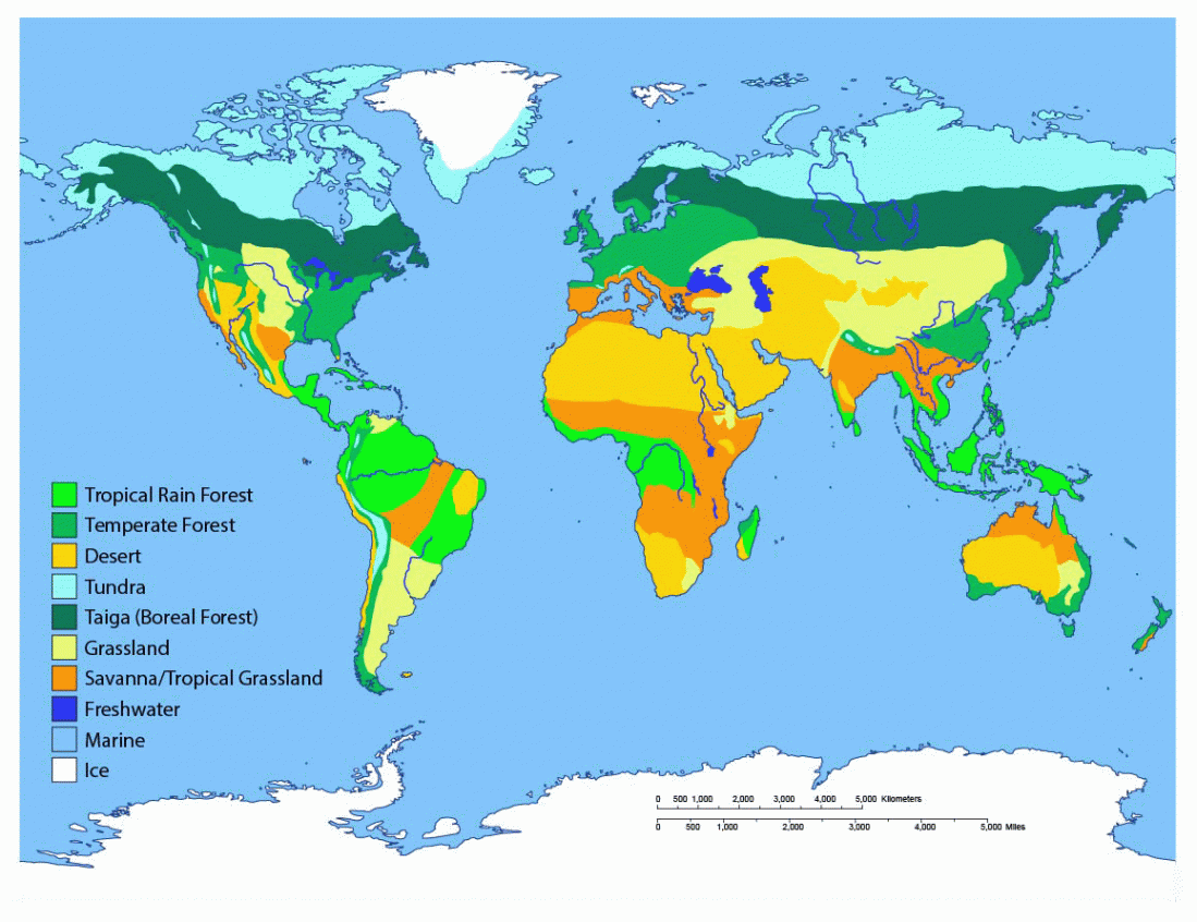 Biomes of the World  Ask A Biologist