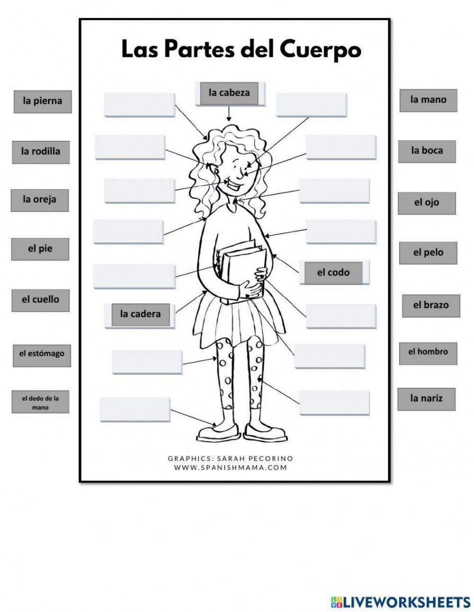 Body Parts (Spanish) worksheet  Live Worksheets