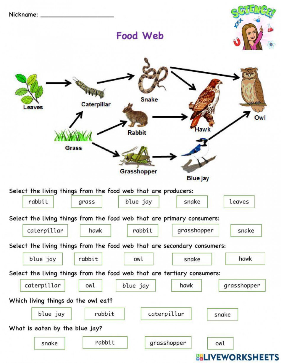 Food Web interactive activity  Live Worksheets