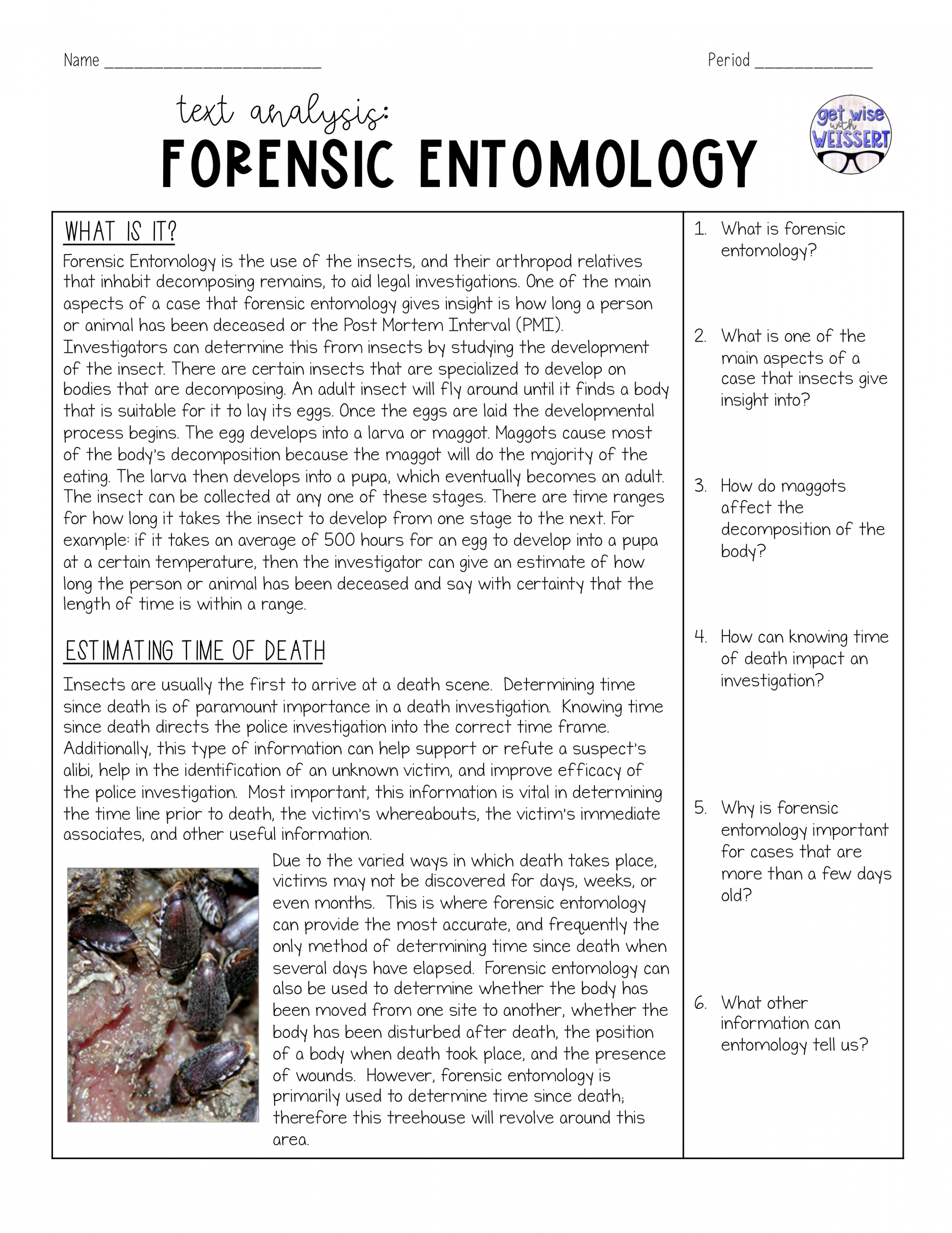 Forensic Entomology - Heidi Cooley  Library  Formative