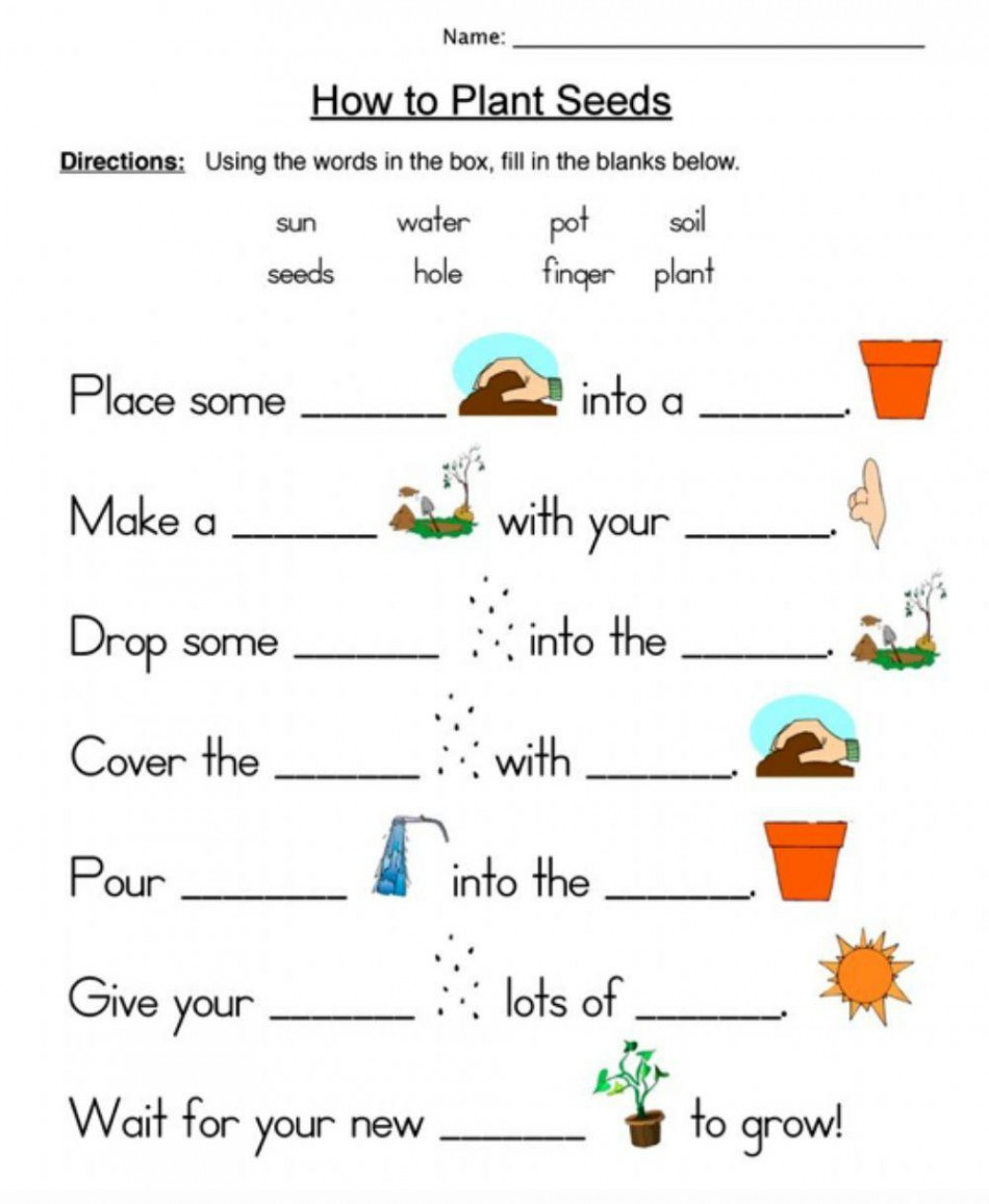 How to Plant Seeds worksheet  Live Worksheets