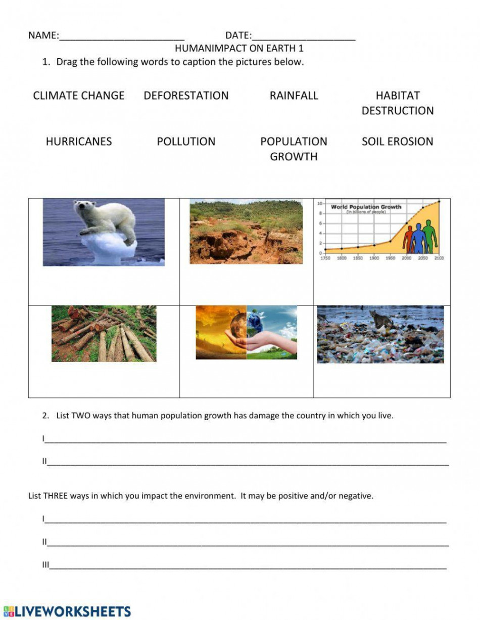 Human Impact On Environment worksheet  Live Worksheets