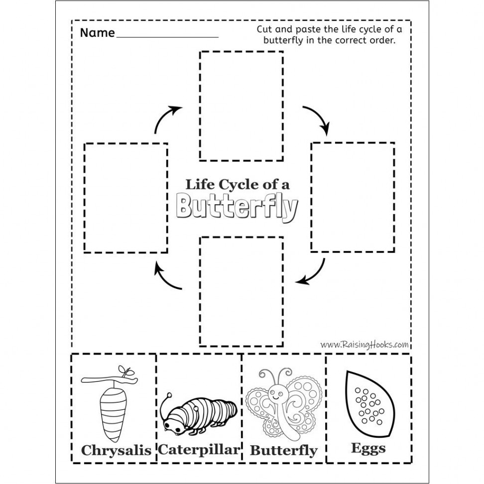 Life Cycle of a Butterfly – Cut and Paste - Raising Hooks