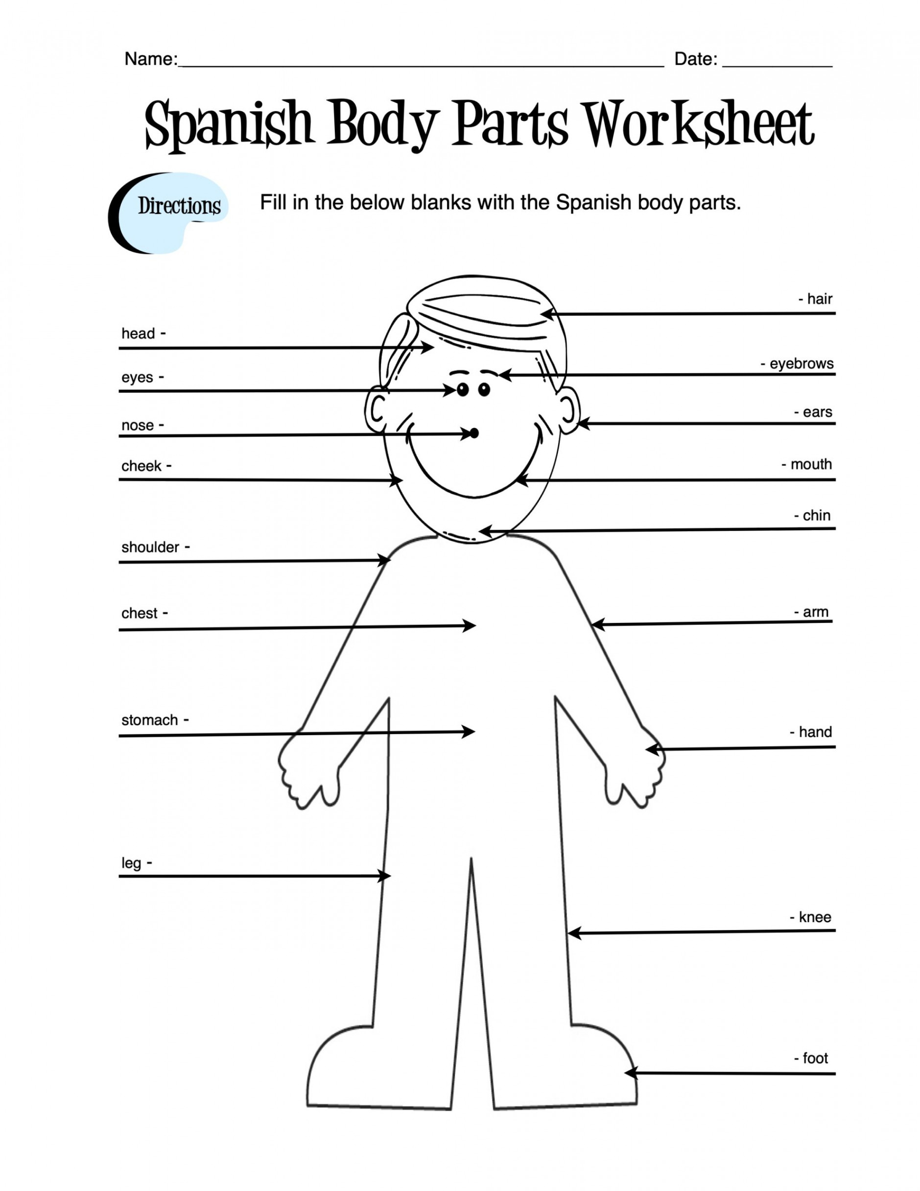 Spanish Body Parts Label Worksheet & Answer Key  Made By Teachers