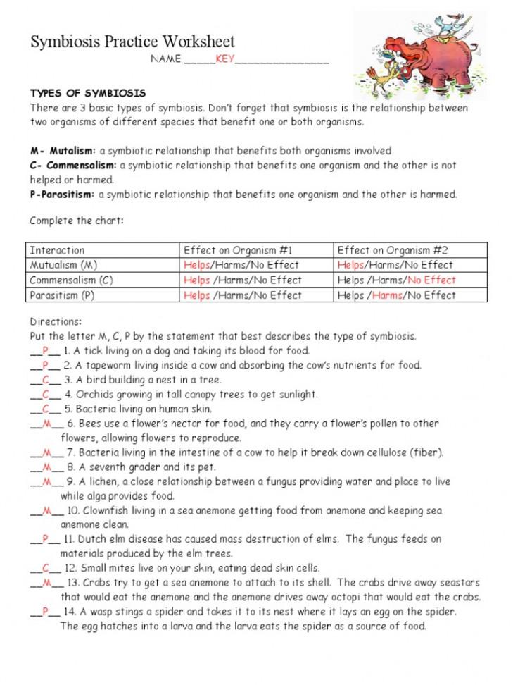 Symbiosis Practice Worksheet  KEY  PDF