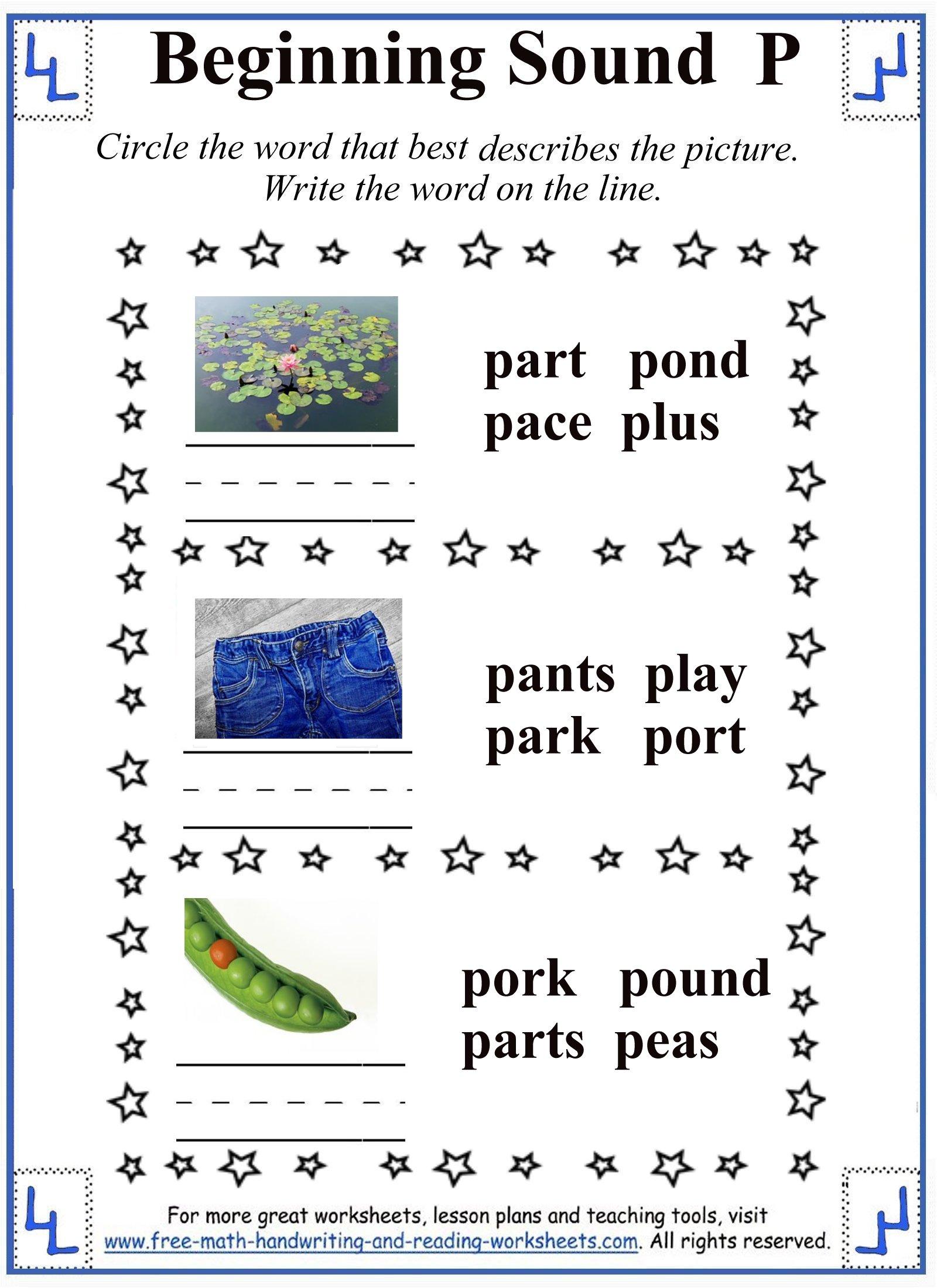 Kindergarten Worksheet Letter P Handout