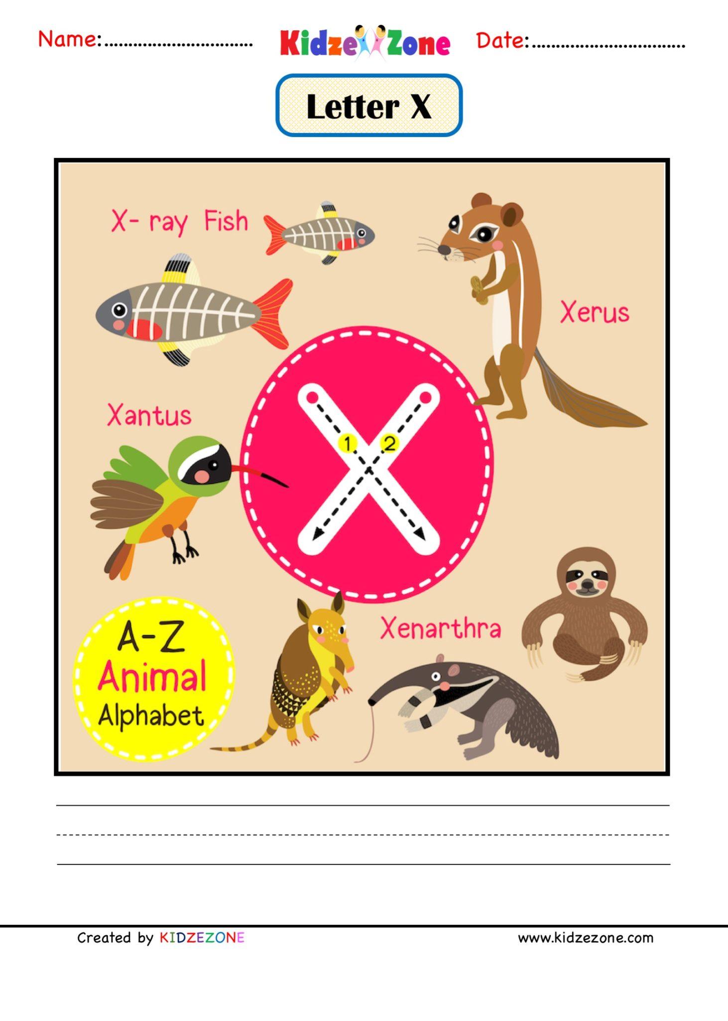 Letter X Worksheet Kindergarten