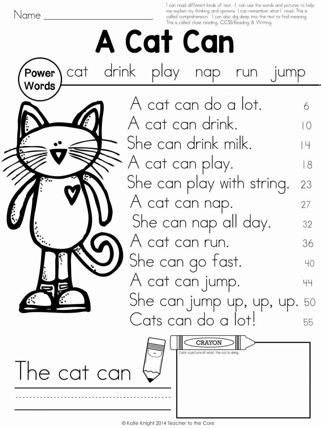 Reading Worksheets For Kindergarten Book