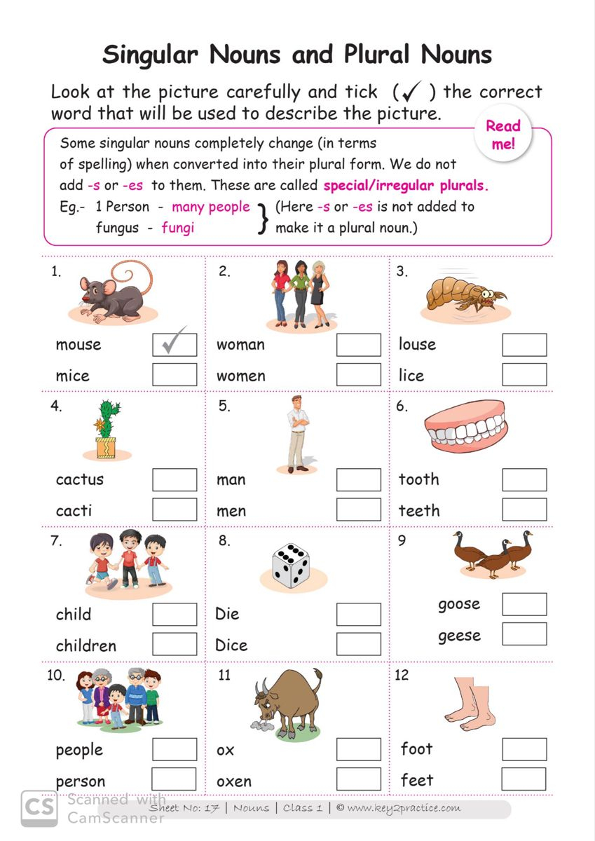 30 English Worksheets For Grade 1 Grammar Nouns